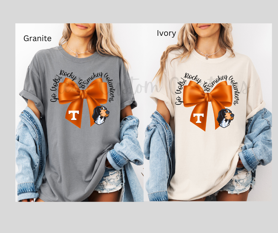Vols - Comfort Color T-Shirt