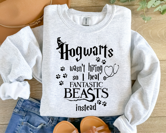 Hogwarts Wasn't Hiring