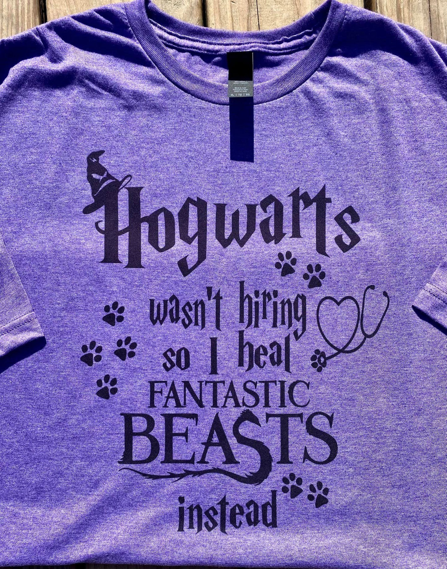 Hogwarts Wasn't Hiring T-shirt